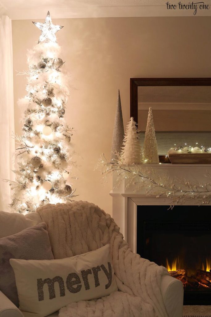 Christmas Lights at Night Tour