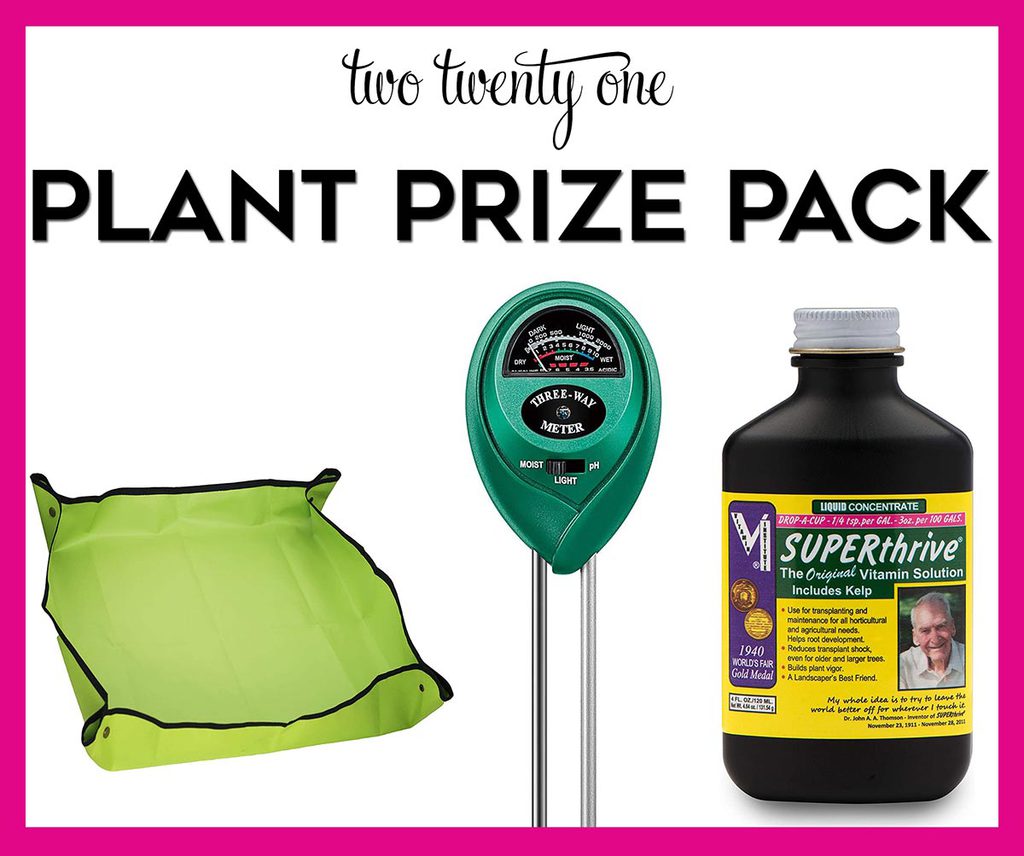 plant prize pack
