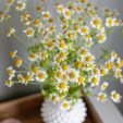 chamomile flowers in a white hobnail vase