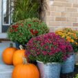 pumpkins and mums on porch steps