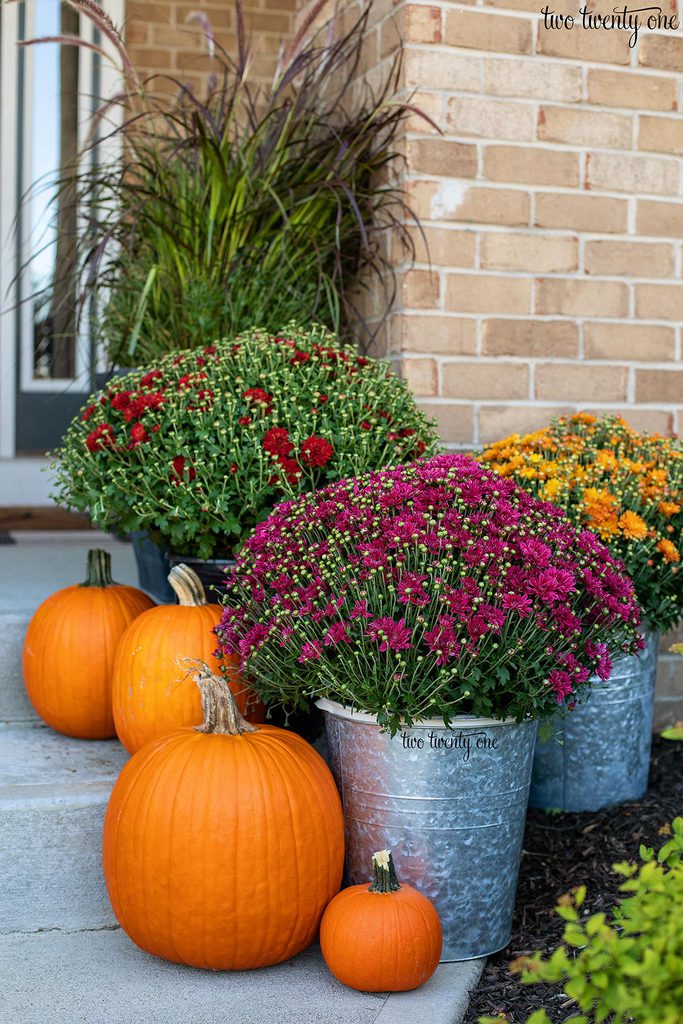 pumpkins and mums on porch steps