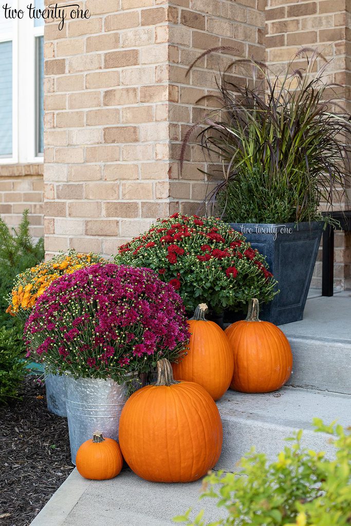 Mums and pumpkins on front porch steps