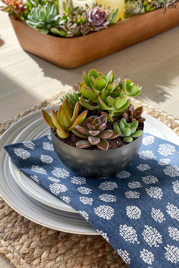 Place setting layered with dinner plate, salad plate, napkin, and succulent plater.