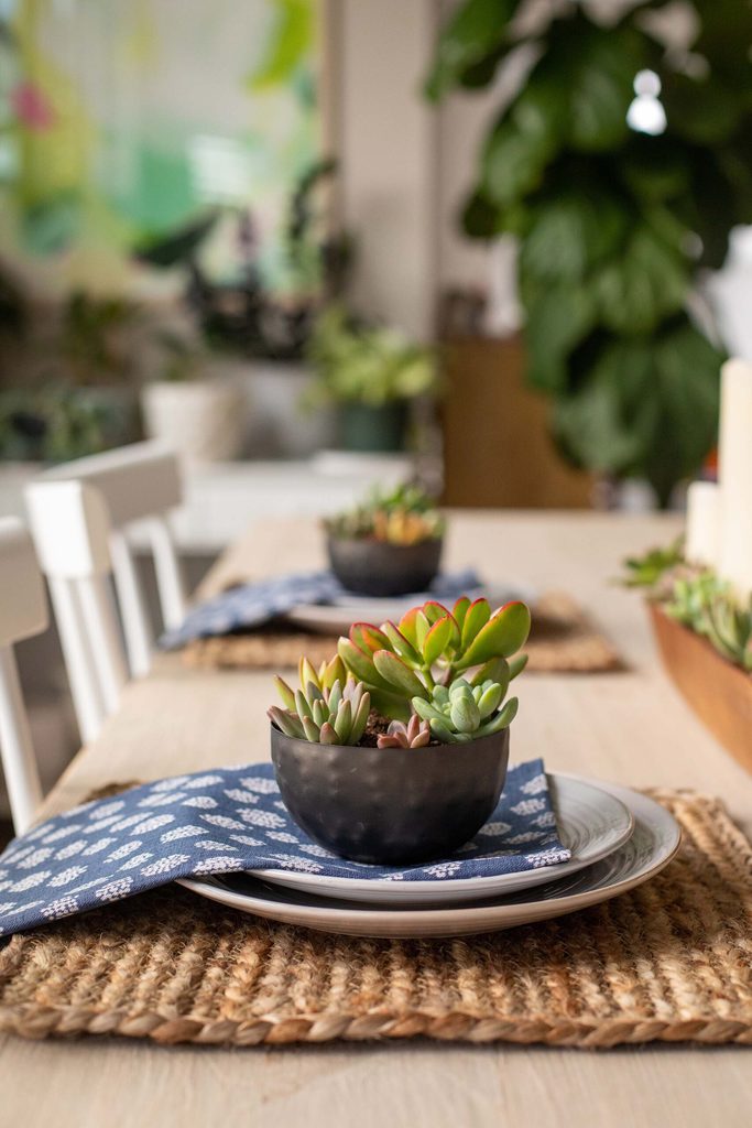 table setting with woven place mat dinner plate, salad plate, blue and white napkin, and small succulent planter on top