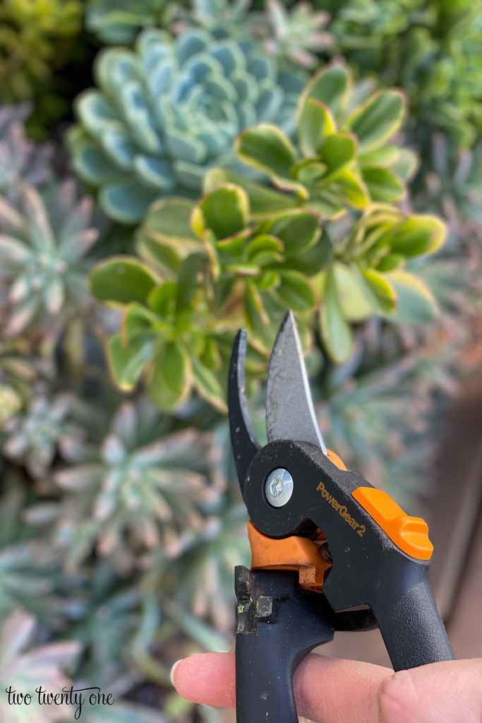 gardening shears