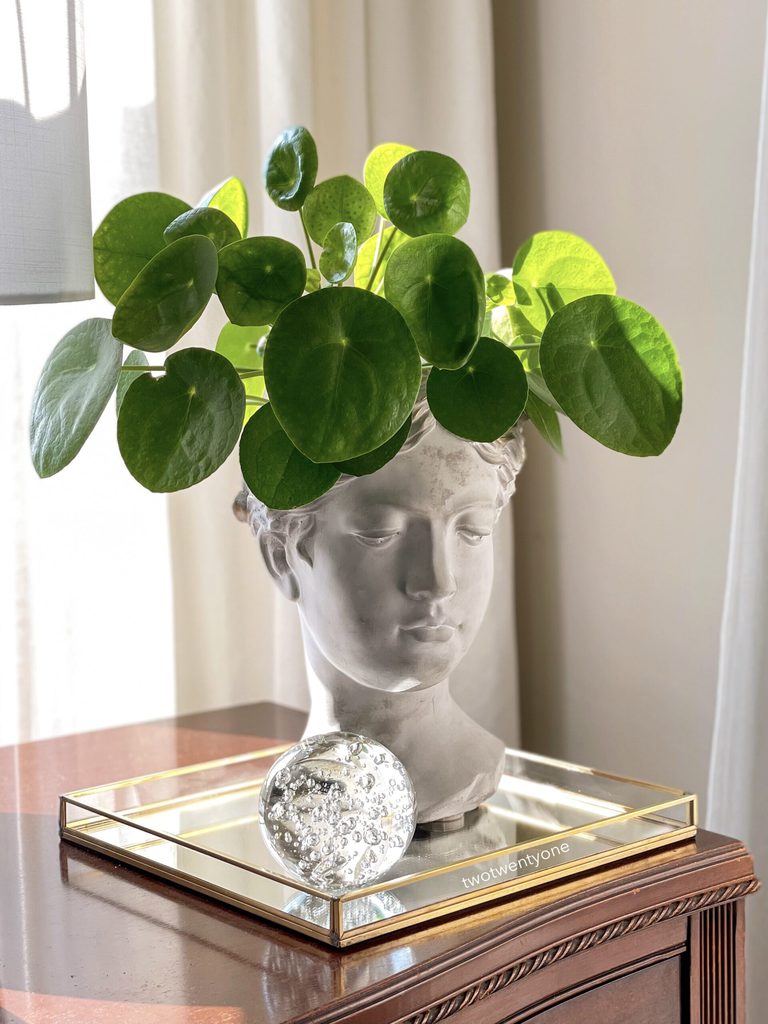 grecian bust planter with Pilea plant