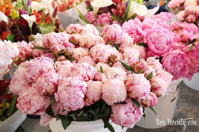 sarah bernhardt peonies at pike place market