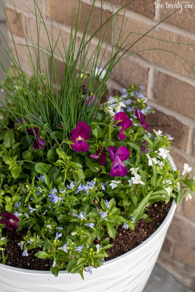 spring planter