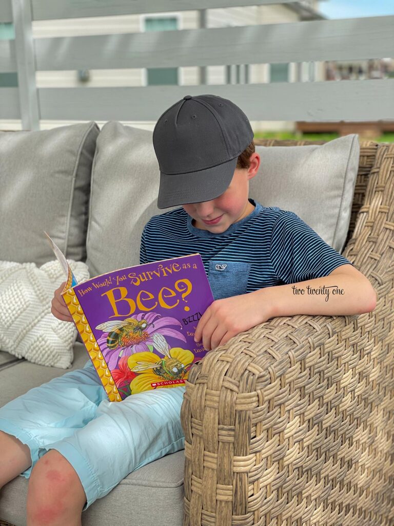 boy reading a book about bees on an outdoor sofa
