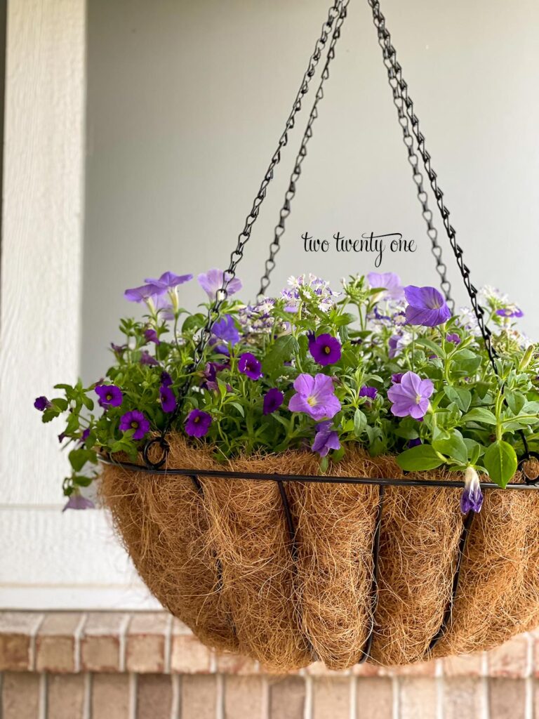 hanging basket with purple and white flowers