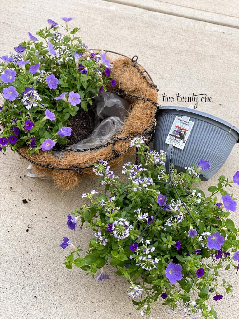 flower hanging basket with purple and white flowers