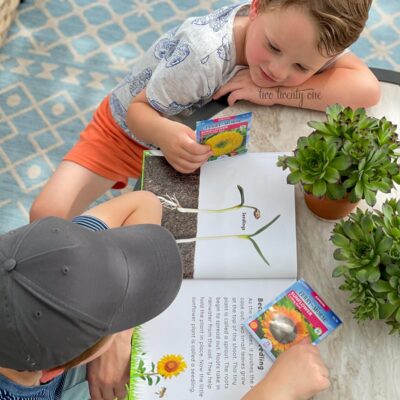 two boys looking at a sunflower book and holding sunflower seed packets