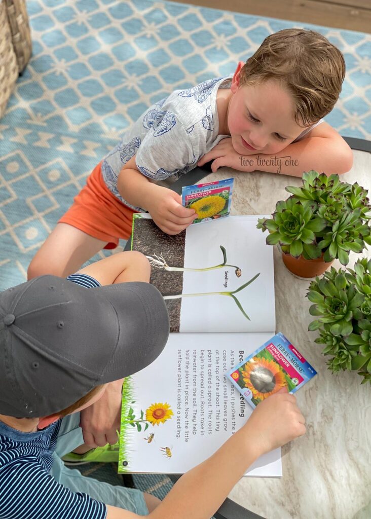 two boys looking at a sunflower book and holding sunflower seed packets