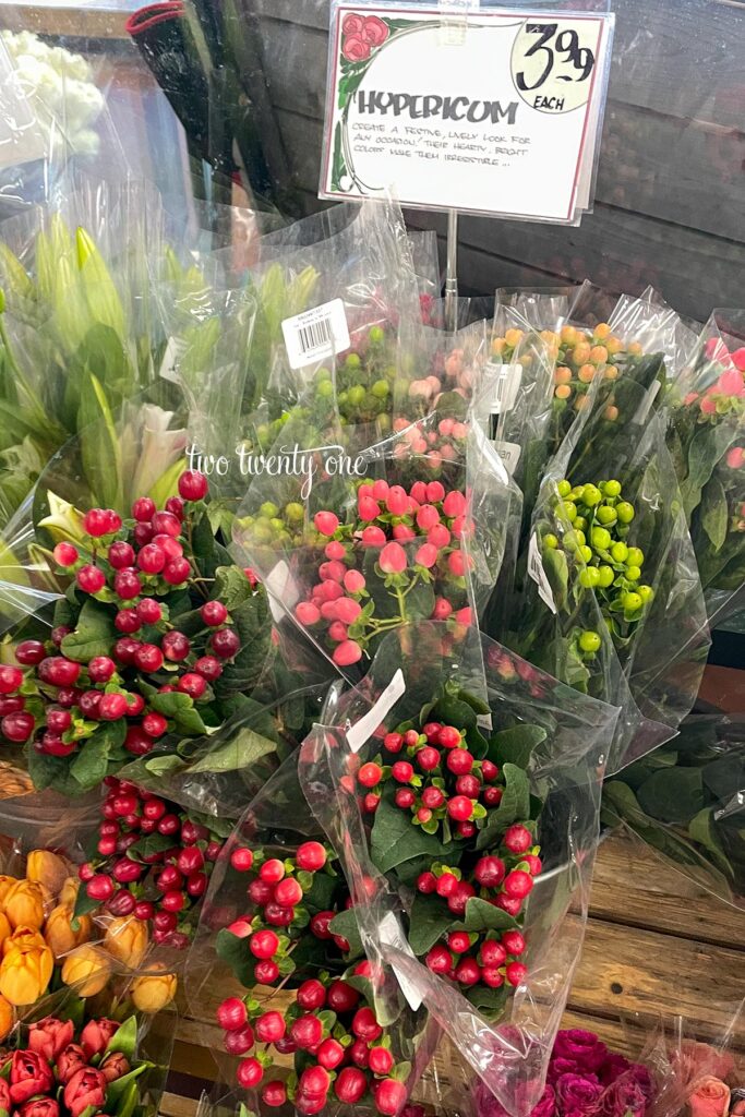 hypericum berries at Trader Joe's