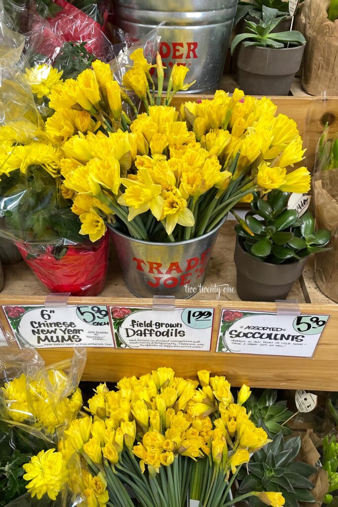 daffodils at Trader Joe's