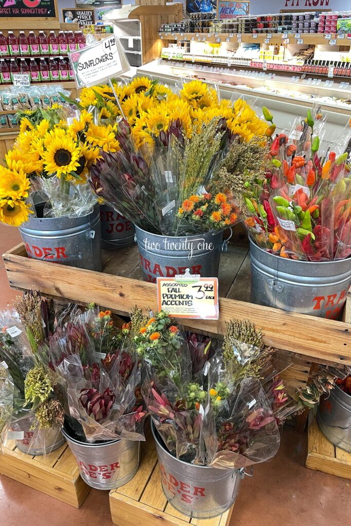 fall flowers and ornamentals at Trader Joe's