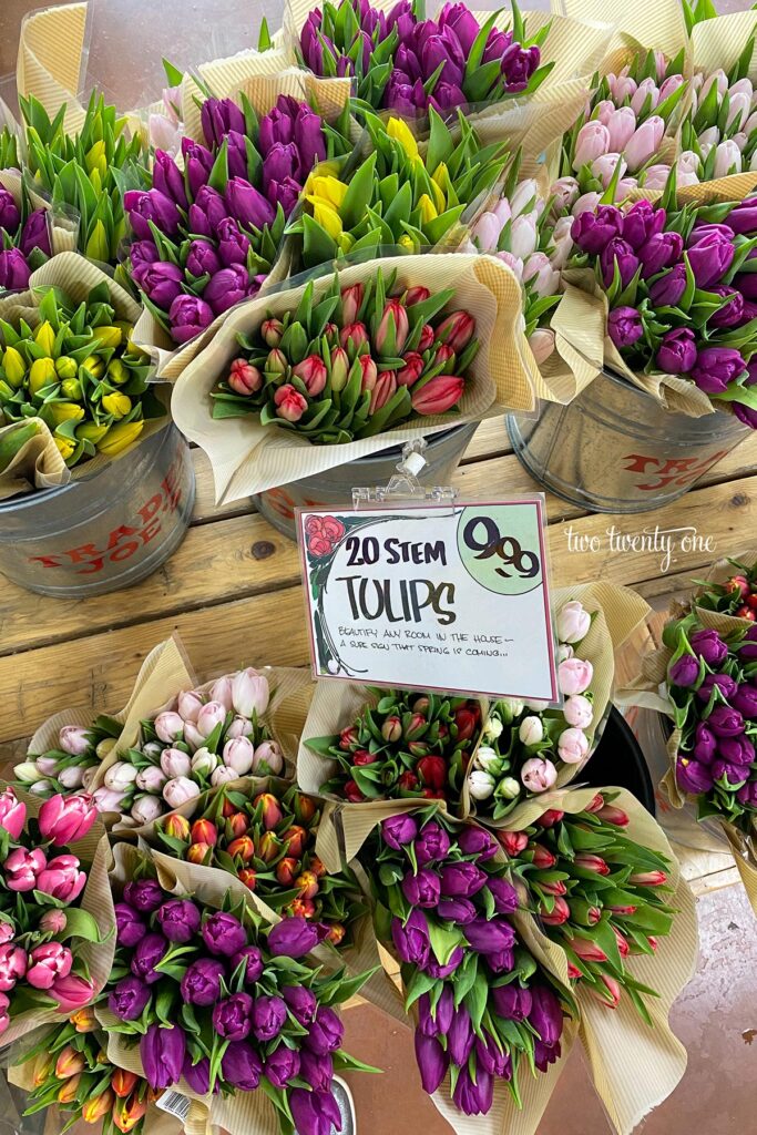 tulips displayed at Trader Joe's
