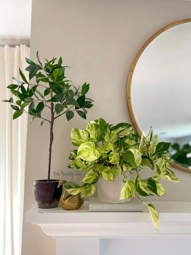 A manjula pothos in a white, textured planter on a fireplace mantle. A faux tree and brass swan are to the left of the pothos.