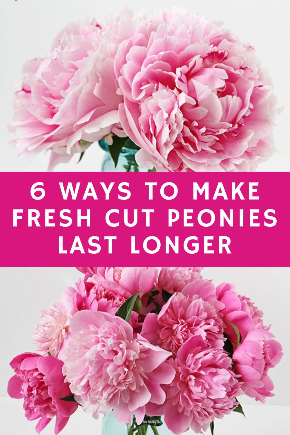 6 Ways to Make Fresh Cut Peonies Last Longer