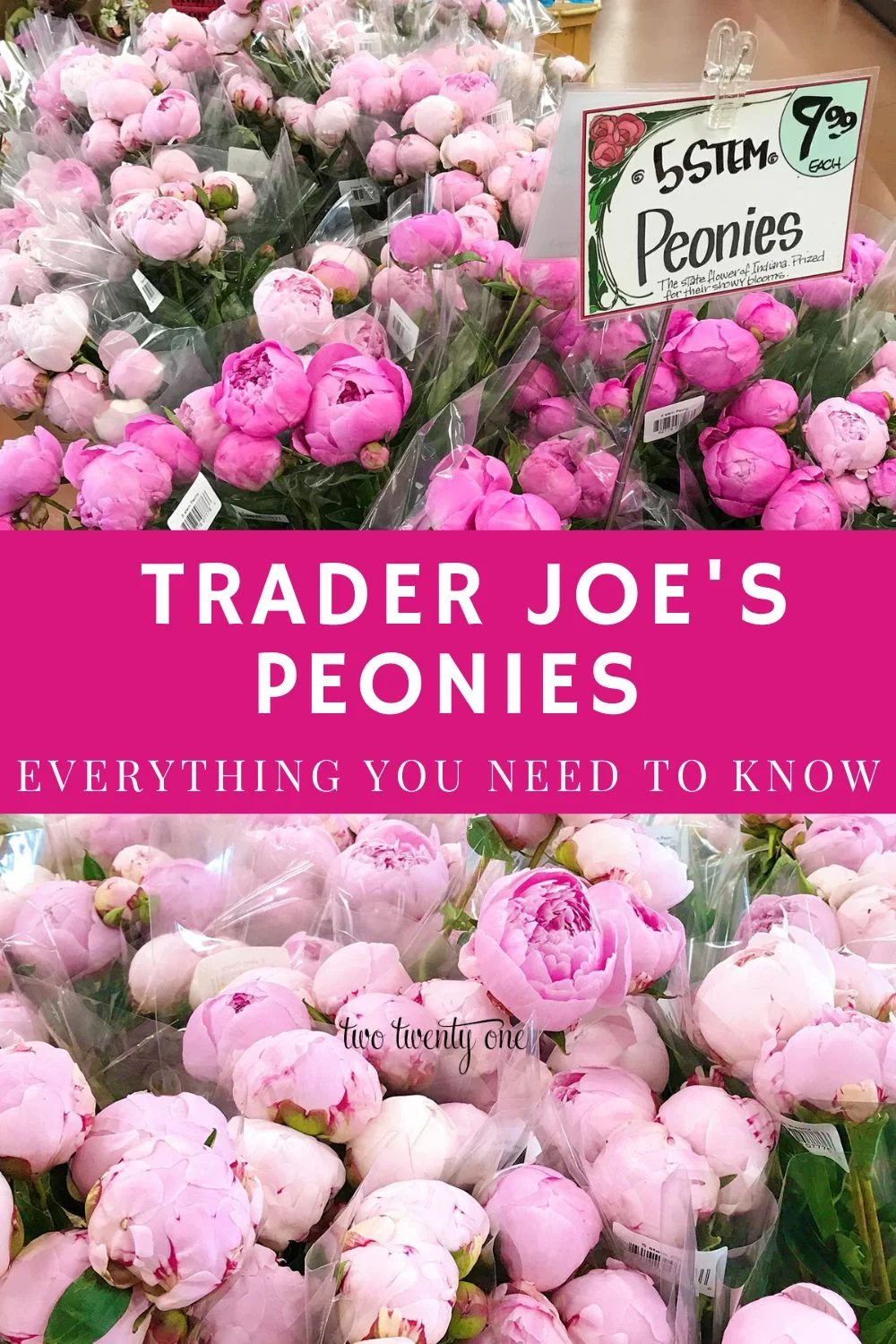 Photos of peonies displayed at Trader Joe's with overlay text reading "Trader Joe's Peonies - everything you need to know".