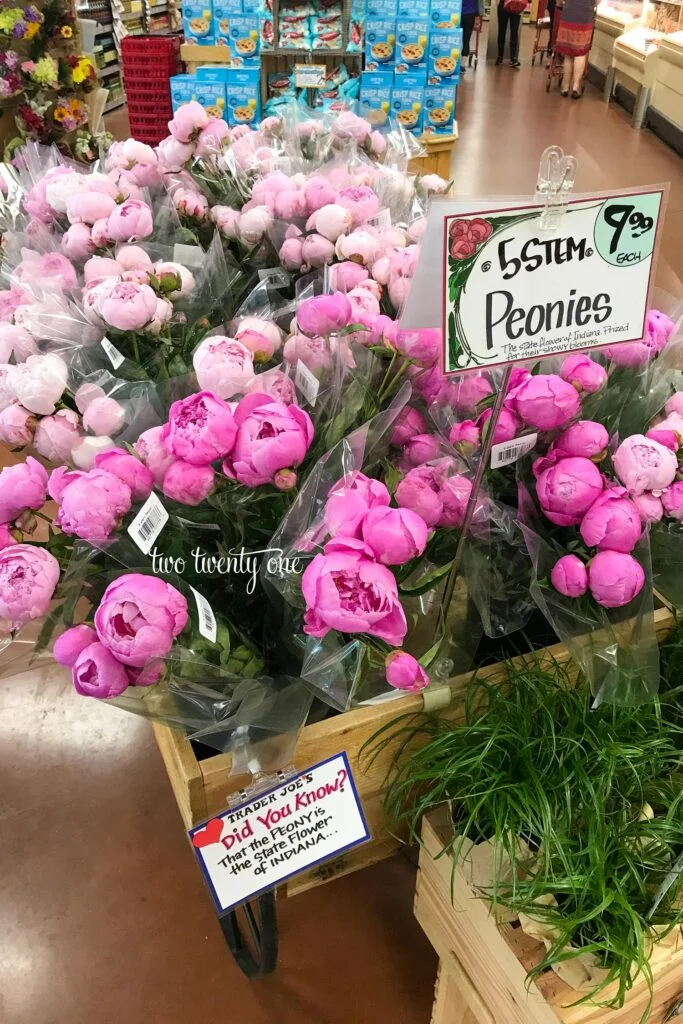 Light pink and darker pink peonies are displayed for sale at Trader Joe's