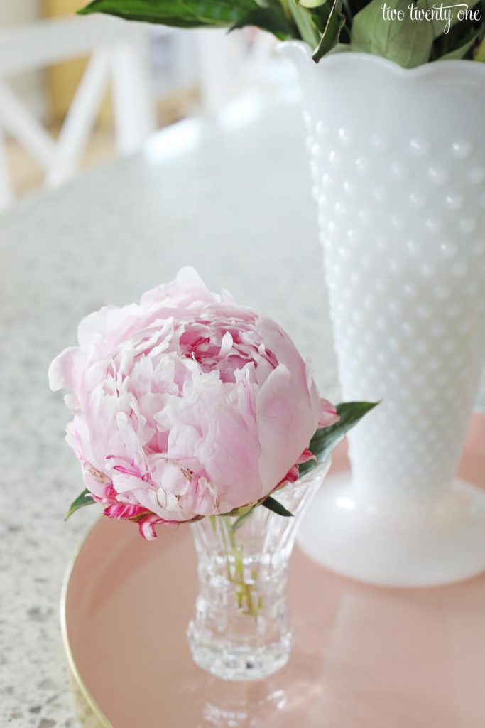 Fresh cut peony in a crystal bud vase.