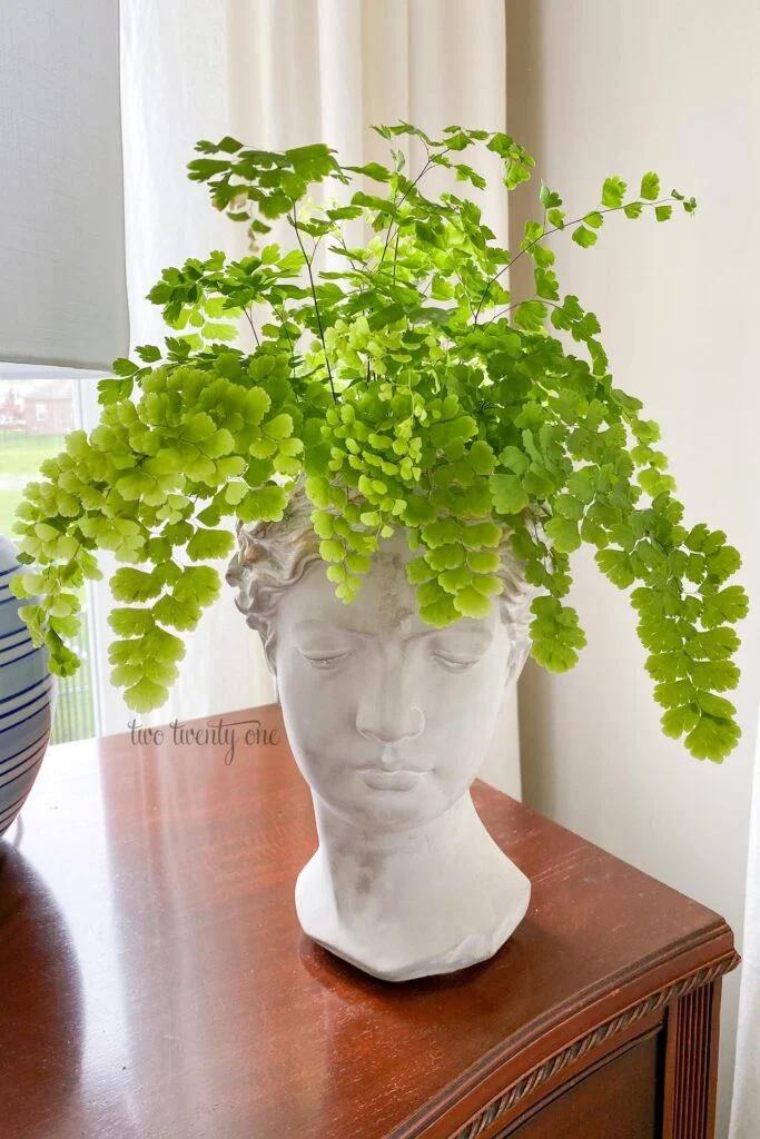 A plant is in a bust planter. The planter sits on top of a wooden dresser.