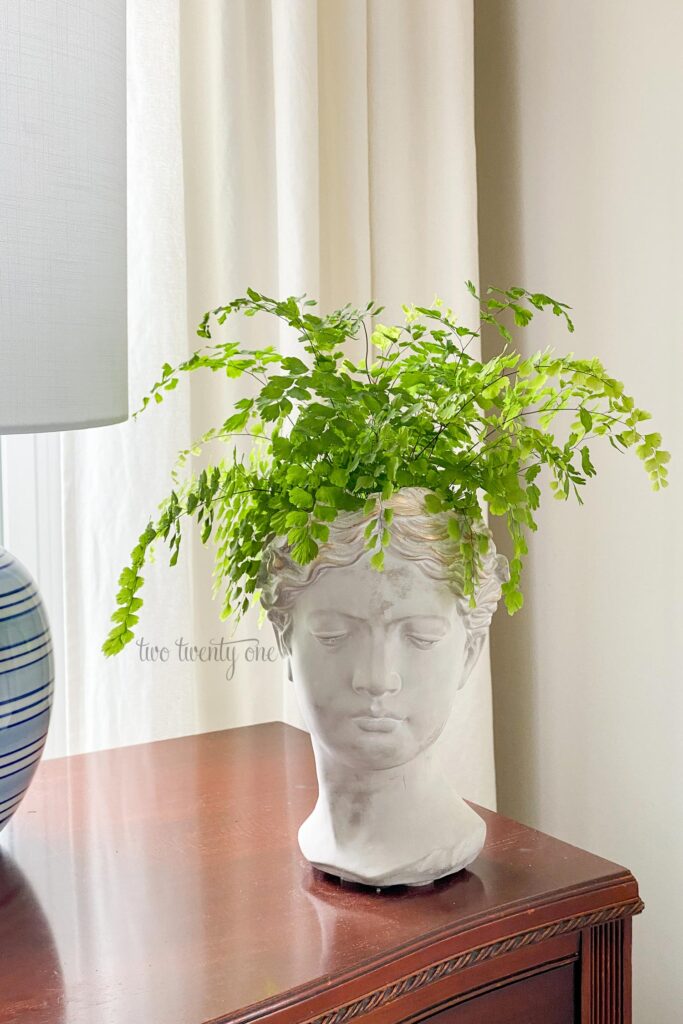A Maidenhair fern is potted inside the head of a gray, female bust. The bust sits on top of a wooden dresser in front of a window.