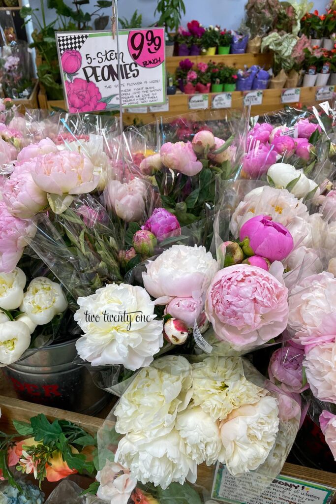 White, light pink, and darker pink peonies are displayed for sale at Trader Joe's